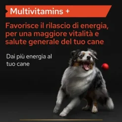 Purina Pro Plan Veterinary Diets Supplement Multivitamins Plus integratore per cani