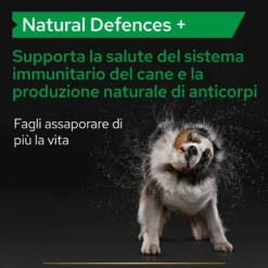 Purina Pro Plan Veterinary Diets Supplement Natural Defences Plus integratore per cani