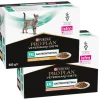 Purina Veterinary Diets EN Multipack (10 x 85 gr)