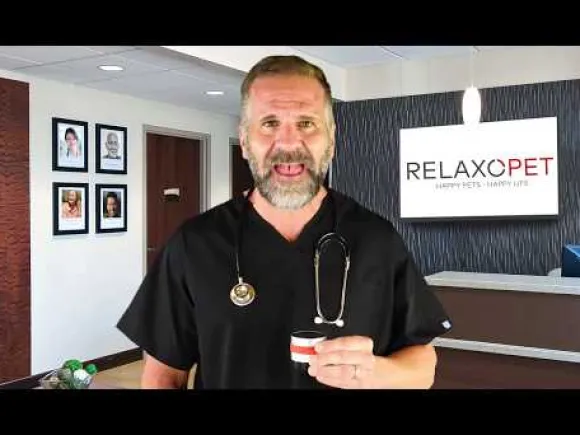 RelaxoPet Pro Cane