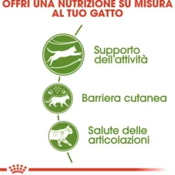 Royal Canin Active Life Cat Outdoor