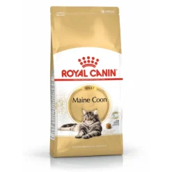 Royal Canin Cat Adult Maine Coon
