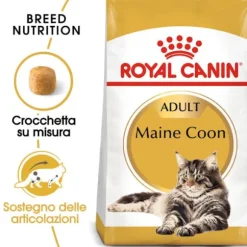 Royal Canin Cat Adult Maine Coon