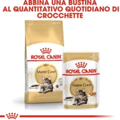 Royal Canin Cat Adult Maine Coon 85 gr
