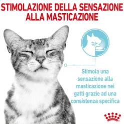 Royal Canin Cat Sensory Feel 85 gr