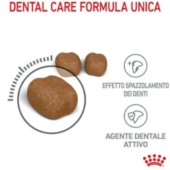 Royal Canin Dental Care Feline