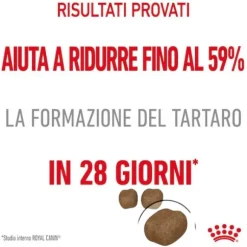 Royal Canin Dental Care Feline