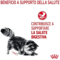 Royal Canin Digest Care in Salsa