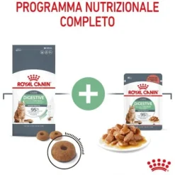 Royal Canin Digest Care in Salsa