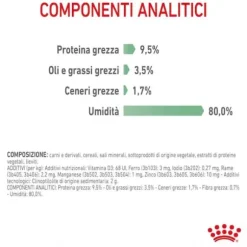 Royal Canin Digest Care in Salsa