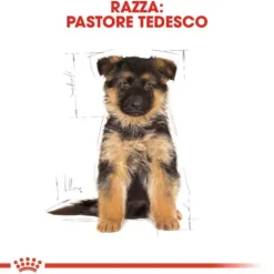Royal Canin German Shepherd Puppy (Pastore Tedesco)
