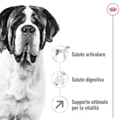 Royal Canin Giant Adult