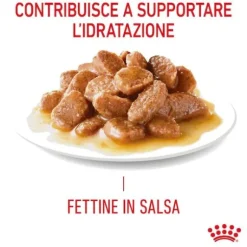 Royal Canin Hair & Skin in Salsa