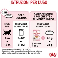 Royal Canin Kitten Instinctive in Gelatina