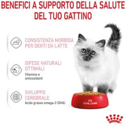 Royal Canin Kitten Patè
