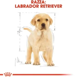 Royal Canin Labrador Retriever Puppy