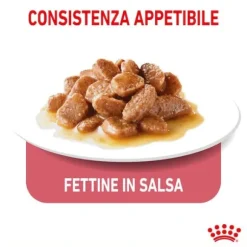 Royal Canin Light Weight Care in Salsa