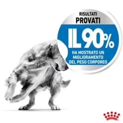 Royal Canin Maxi Light Weight Care