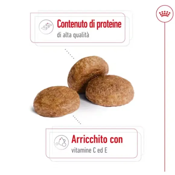 Royal Canin Medium Ageing 7+