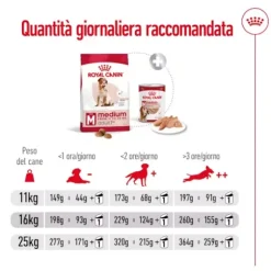 Royal Canin Medium Ageing 7+