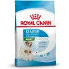 Royal Canin Mini Starter Mother & Babydog