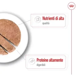 Royal Canin Patè per Cani Adult 410 gr