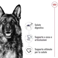 Royal Canin Patè per Cani Adult 410 gr