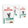 Royal Canin Veterinary Diet Diabetic Multipack Cat