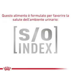 Royal Canin Veterinary Diet Gastrointestinal secco Feline
