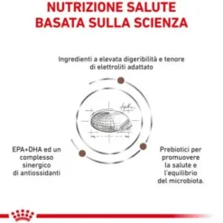 Royal Canin Veterinary Diet Gastrointestinal Moderate Calorie Feline