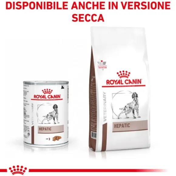 Royal Canin Veterinary Diet Hepatic Patè
