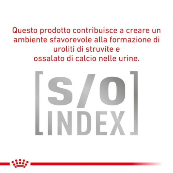 Royal Canin Veterinary Diet Diabetic Special Low Carbohydrate