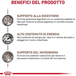 Royal Canin Veterinary Diet Gastrointestinal Canine Patè