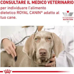 Royal Canin Veterinary Diet Hypoallergenic Moderate Calorie