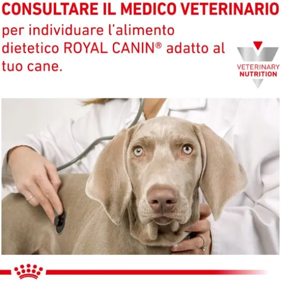 Royal Canin Veterinary Diet Hypoallergenic Moderate Calorie
