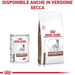 Royal Canin Veterinary Diet Gastrointestinal Canine Patè