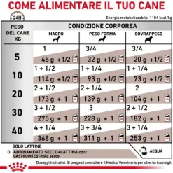 Royal Canin Veterinary Diet Gastrointestinal Canine Patè