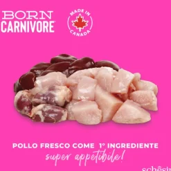 Schesir Born Carnivore Baby Grain Free High Protein Pollo con uovo