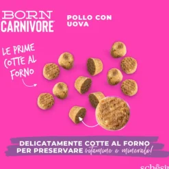 Schesir Born Carnivore Baby Grain Free High Protein Pollo con uovo