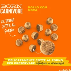 Schesir Born Carnivore Grain Free High Protein Pollo con uovo