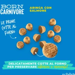 Schesir Born Carnivore Grain Free High Protein Aringa con salmone
