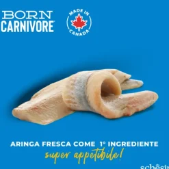 Schesir Born Carnivore Grain Free High Protein Aringa con salmone