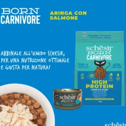 Schesir Born Carnivore Grain Free High Protein Aringa con salmone