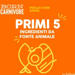 Schesir Born Carnivore Grain Free High Protein Pollo con uovo