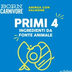 Schesir Born Carnivore Grain Free High Protein Aringa con salmone
