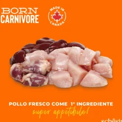 Schesir Born Carnivore Grain Free High Protein Pollo con uovo