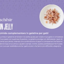 Schesir Cat Adult in Jelly 85 gr