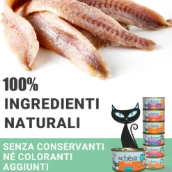 Schesir Sardine Filetti in salsa Cat Adult Grain Free 70 gr