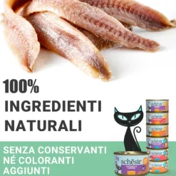 Schesir Sardine Soft Patè Cat Adult Grain Free 70 gr