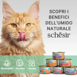 Schesir Sardine Soft Patè Cat Adult Grain Free 70 gr